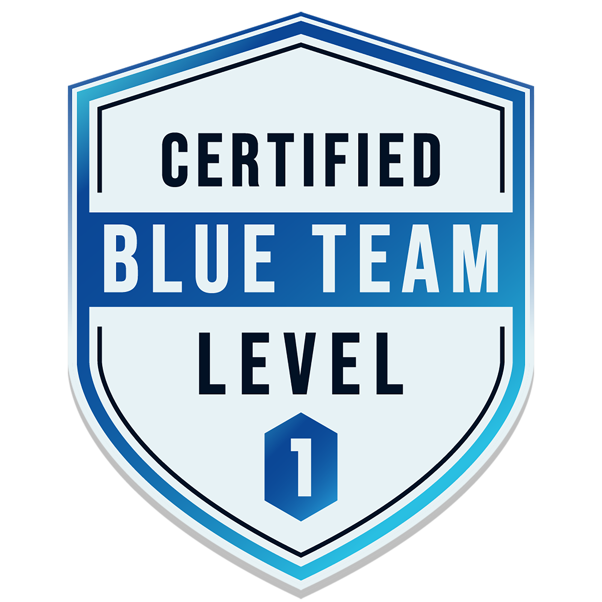 Blue Team Level 1